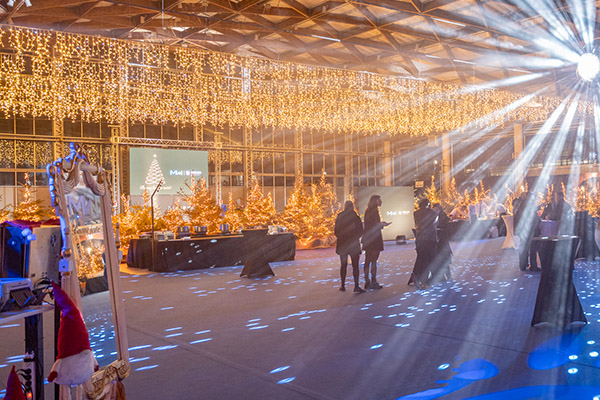 Fornitura di impianto audio/luci/video